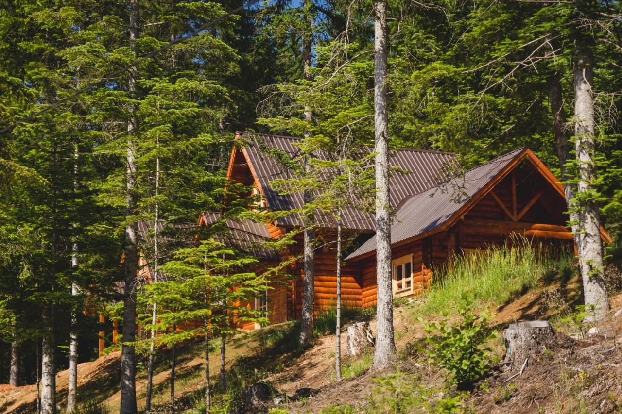 Отель JELA NATURAL RESORT Rožaje-5