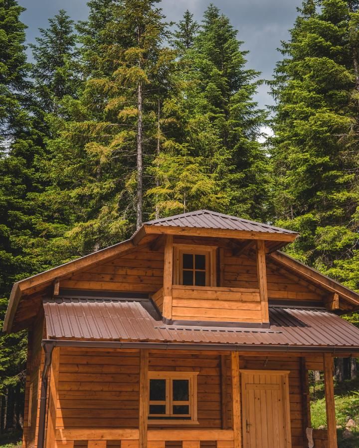 Отель JELA NATURAL RESORT Rožaje-25