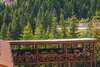 Отель JELA NATURAL RESORT Rožaje-7